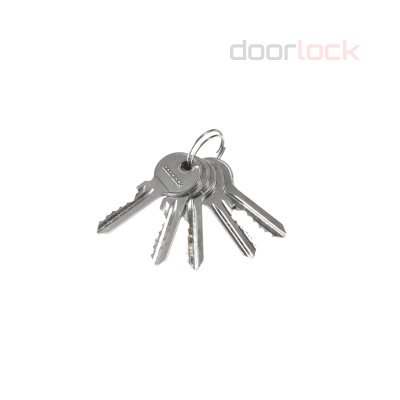 Цилиндровый механизм DOORLOCK V 2200Z N серия Variant, никелированный, 30x30мм, 5 ключей